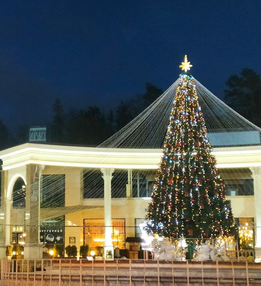 Фотография автора Елена Александрова