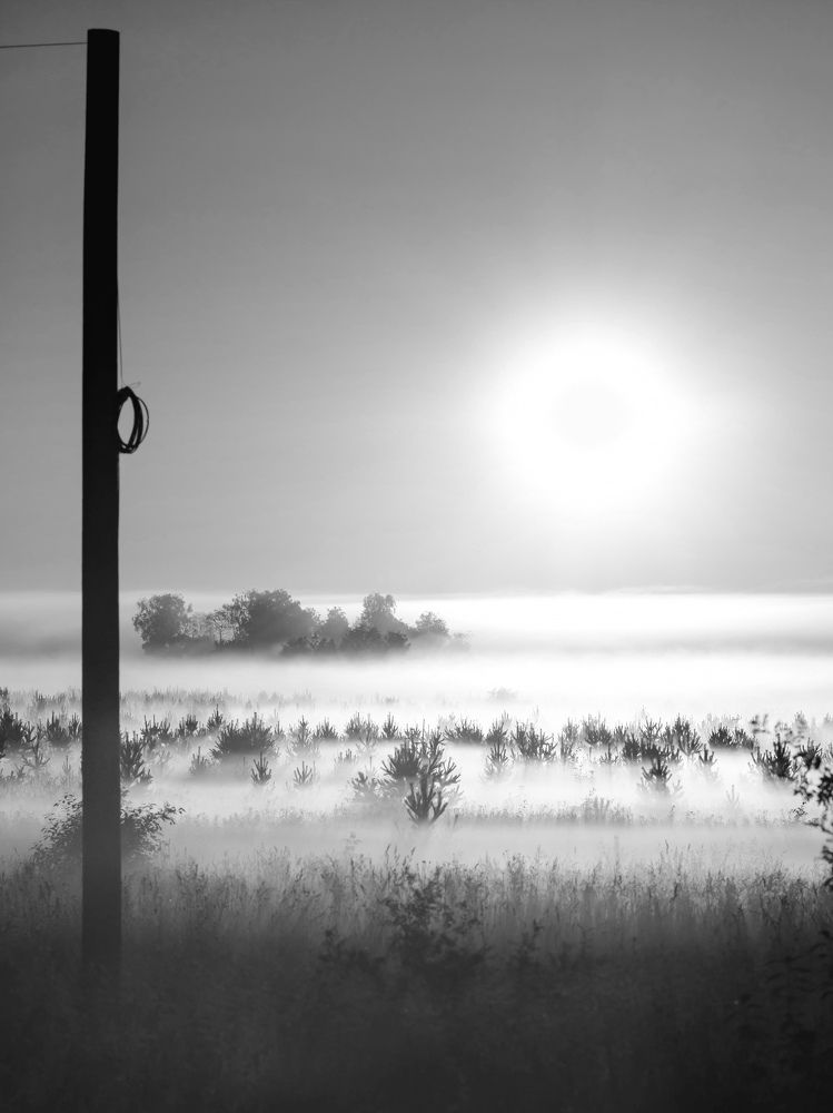 Photograph by Олег Бережных