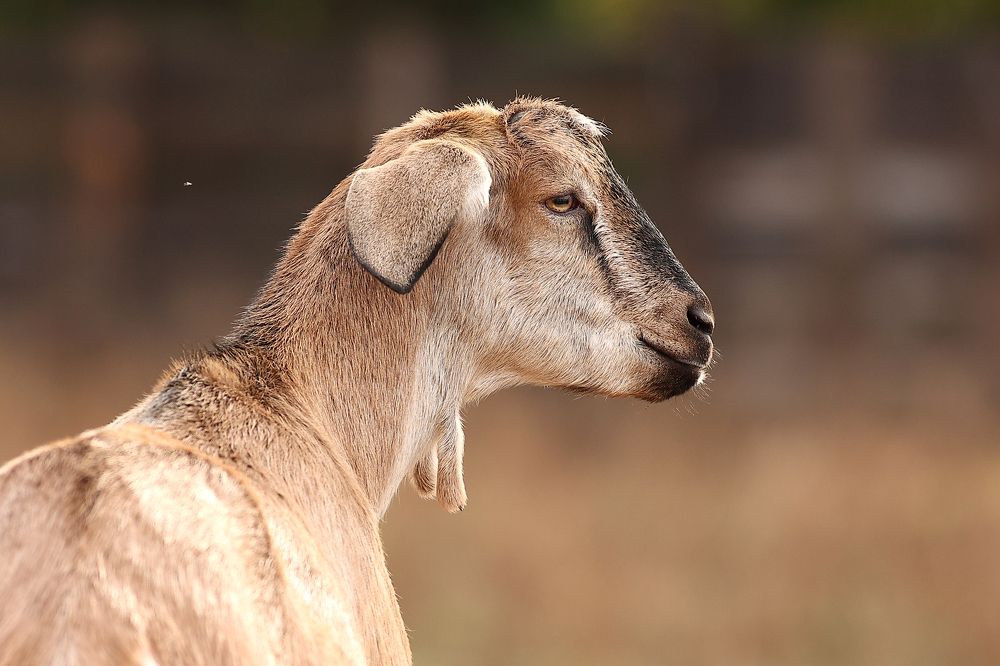 Photograph by Алексей Широбоков