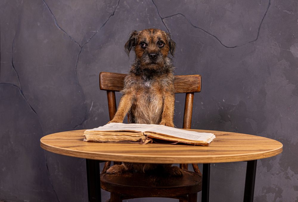 Photograph by Алексей Широбоков