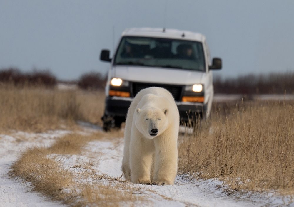Photograph by Владимир Цветов