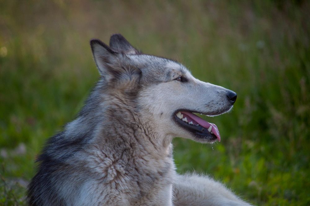Photograph by Владислав Капанов