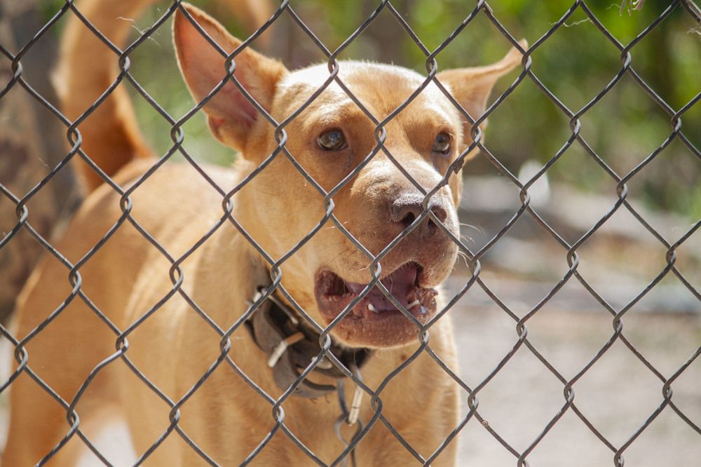 Photograph by Владислав Капанов