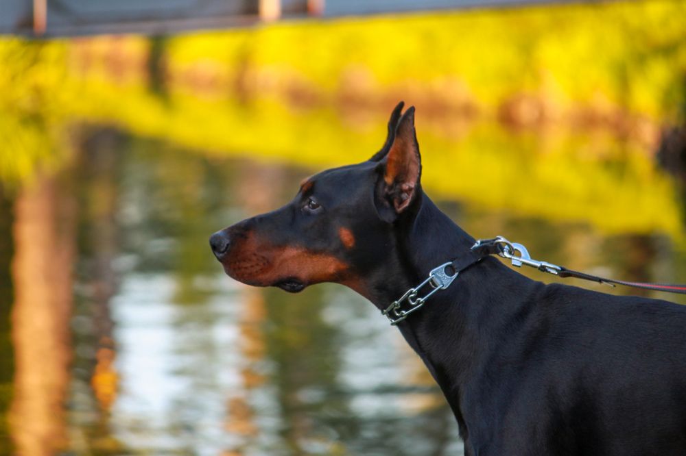 Photograph by Владислав Капанов