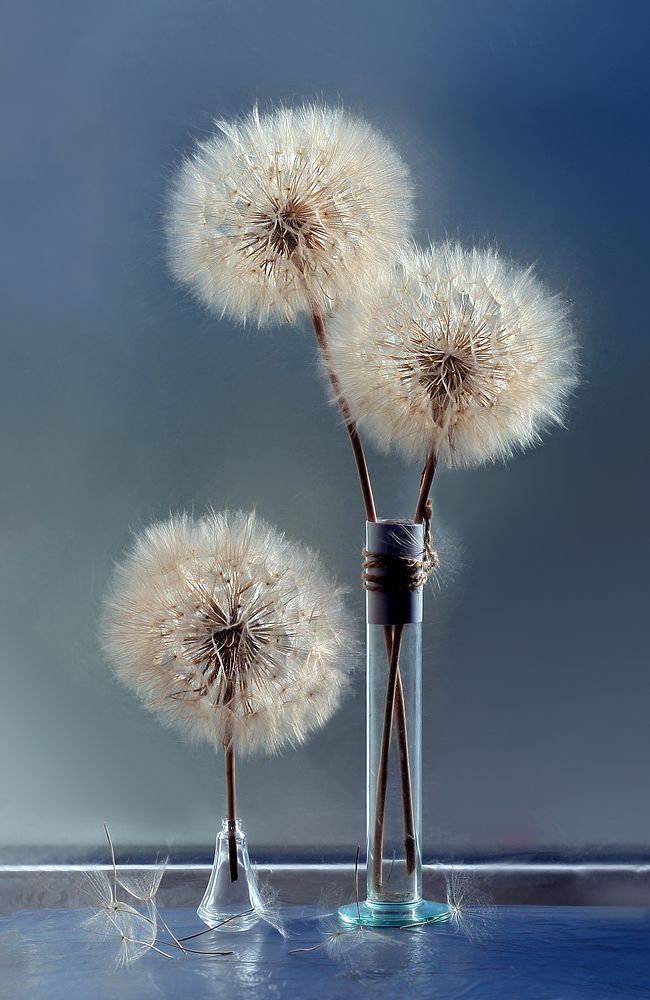 Вот и лето прошло...