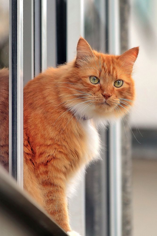 Photograph by Татьяна Бравая