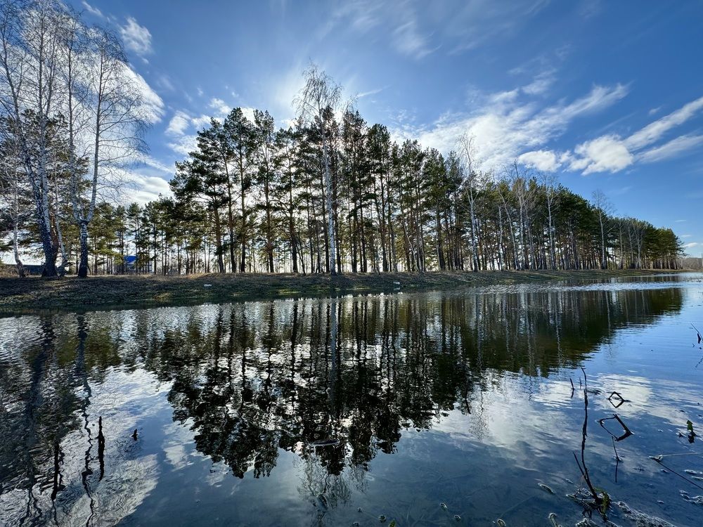 Фотография автора Евгения Елисеева