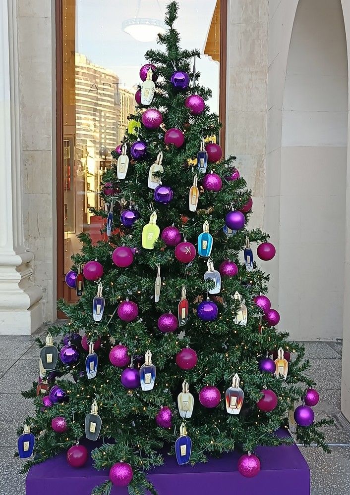 Фотография автора Елена Александрова