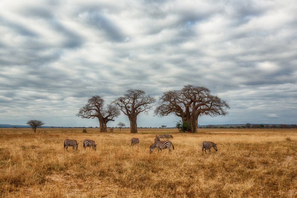 Photograph by Рашид Усманов