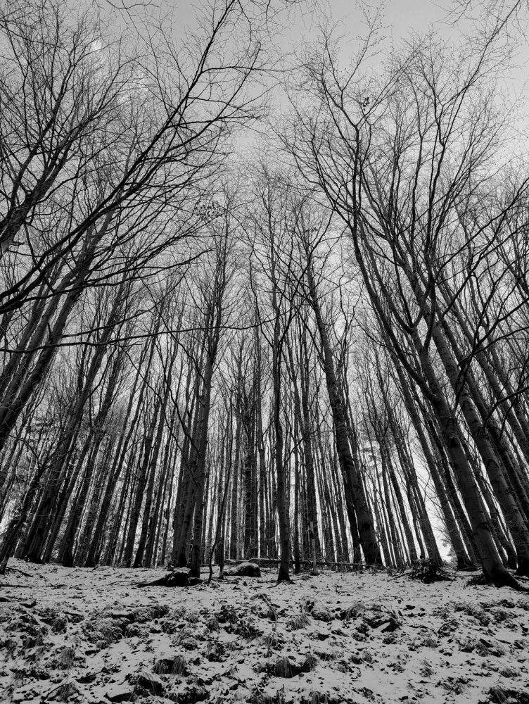 Photograph by Наталья Шалкевич