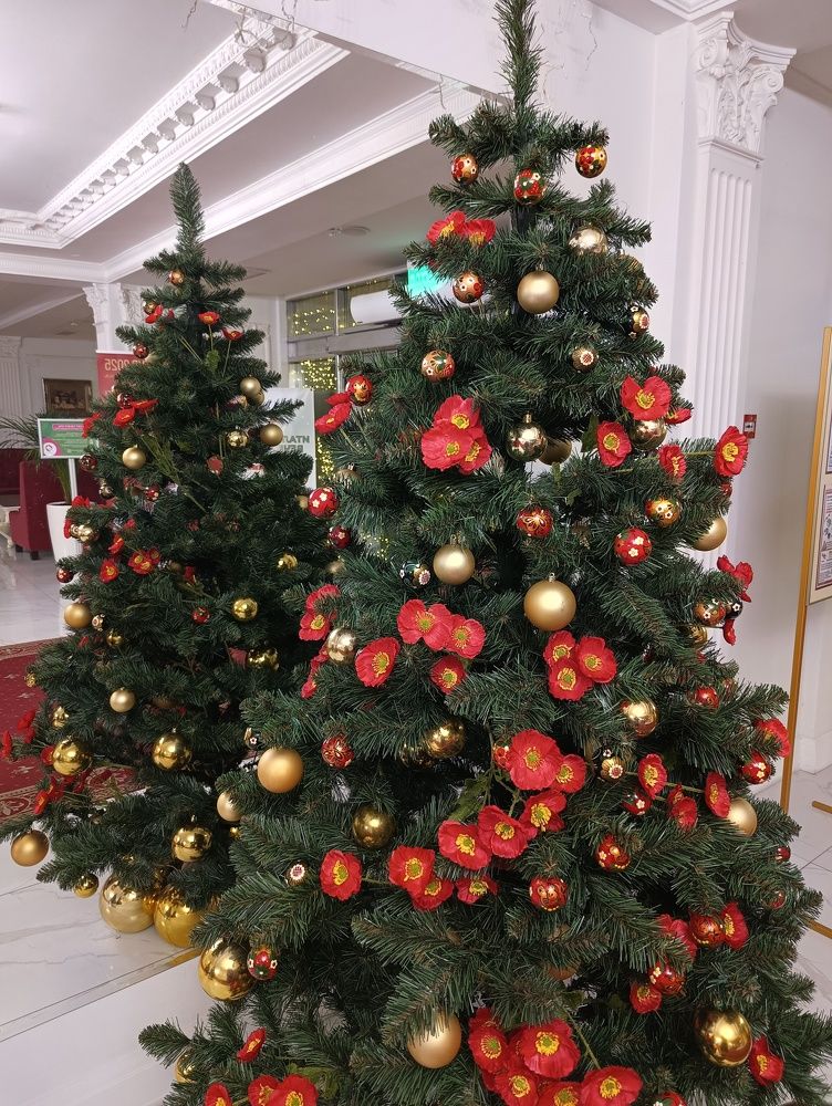 Фотография автора Елена Александрова