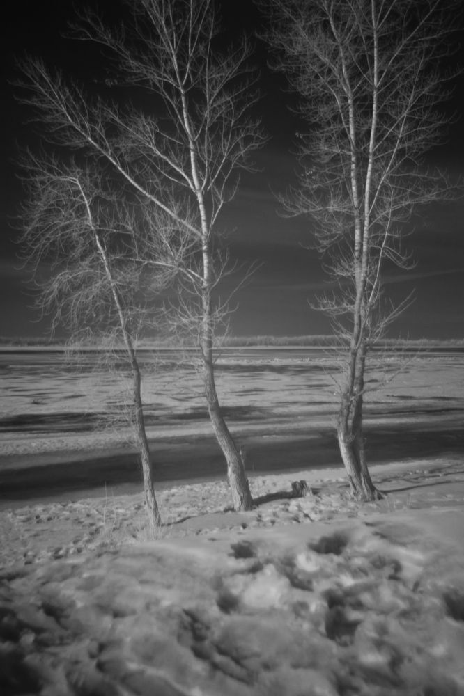 Photograph by Павел Швецов