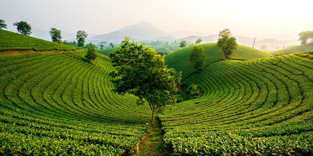 Photograph by Jayakumar MN