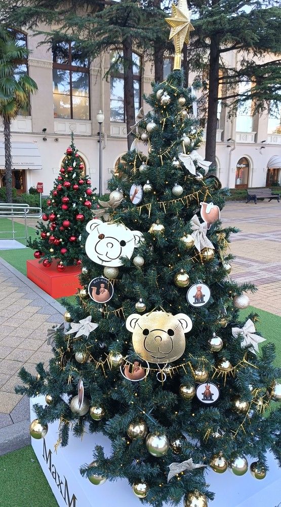 Фотография автора Елена Александрова