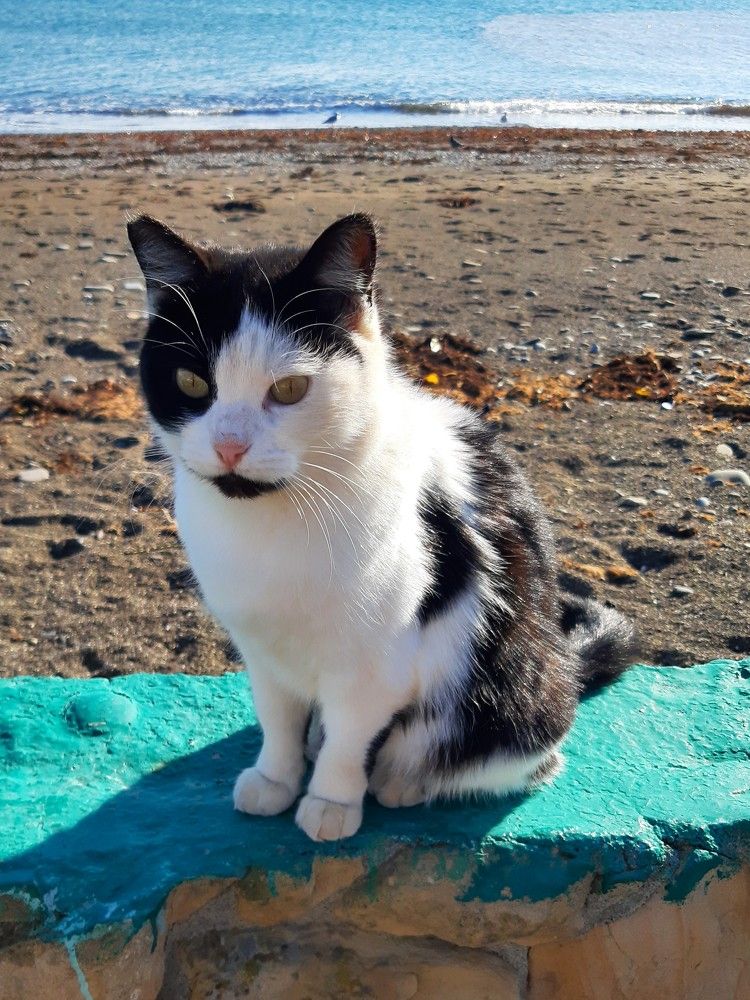 Photograph by Галина Глазкова