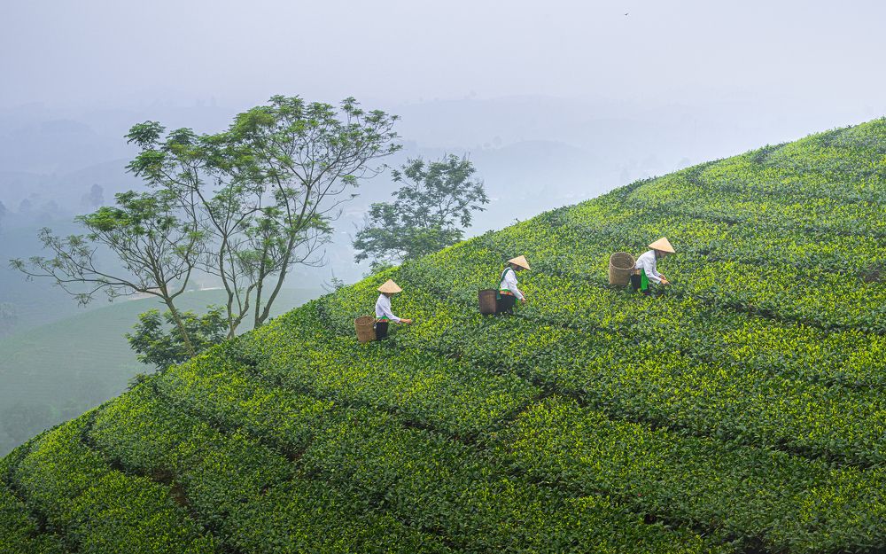 Photograph by Jayakumar MN