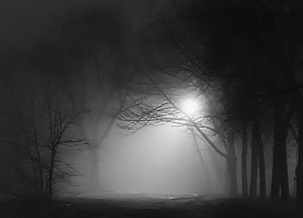 Фотография автора Елена Чиликина