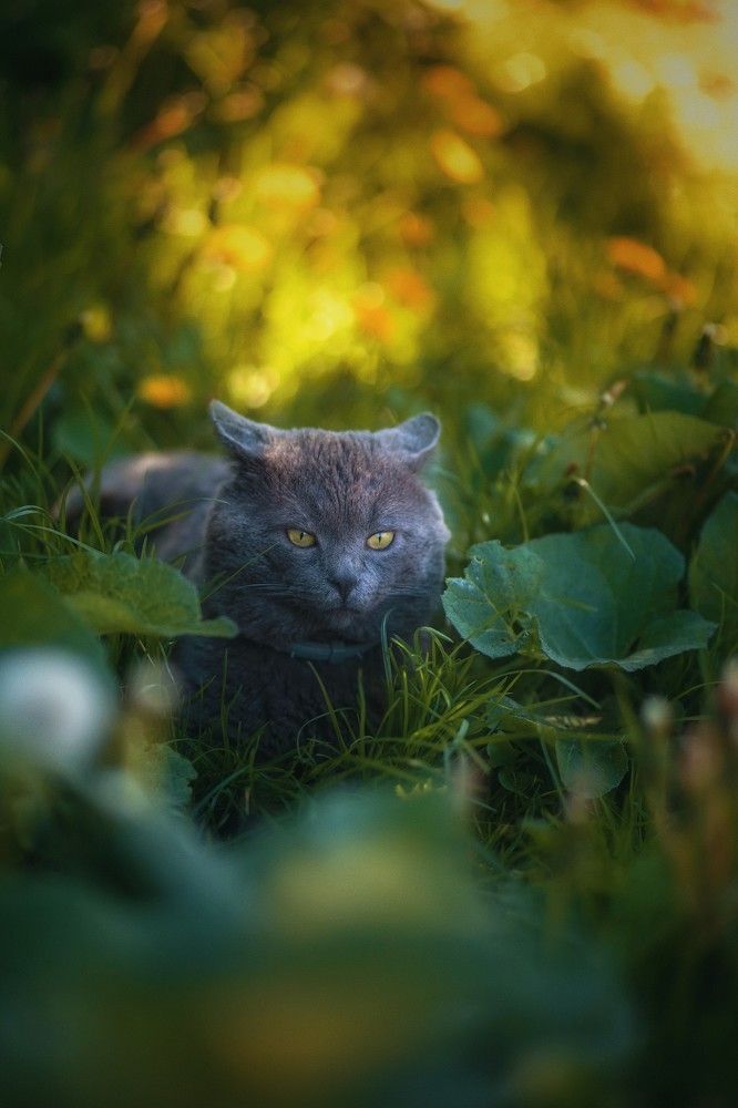 Photograph by Татьяна Максакова