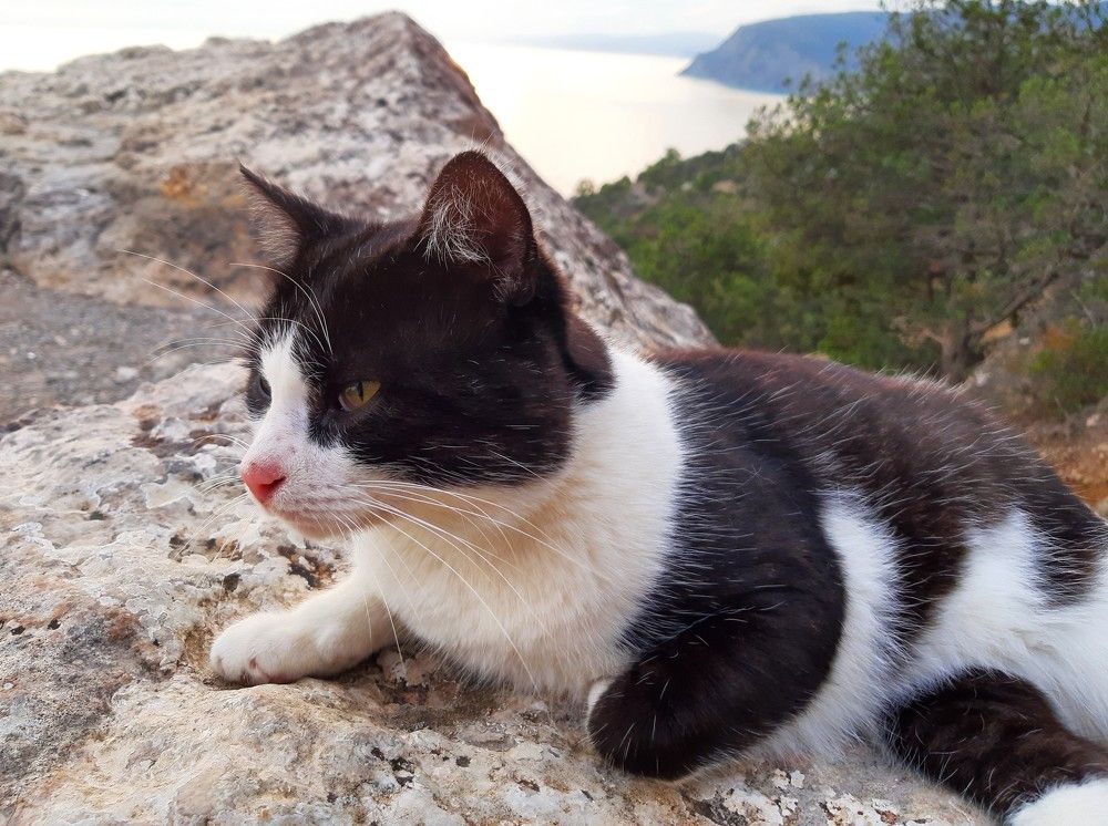 Photograph by Галина Глазкова