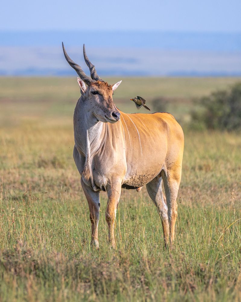 Photograph by Jayakumar MN