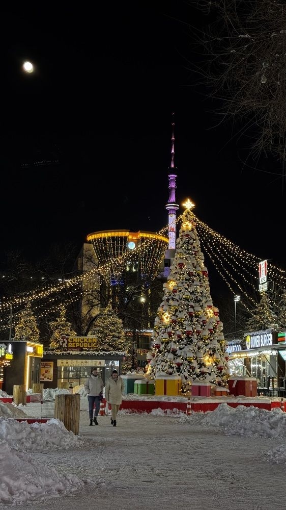 Предновогодний город