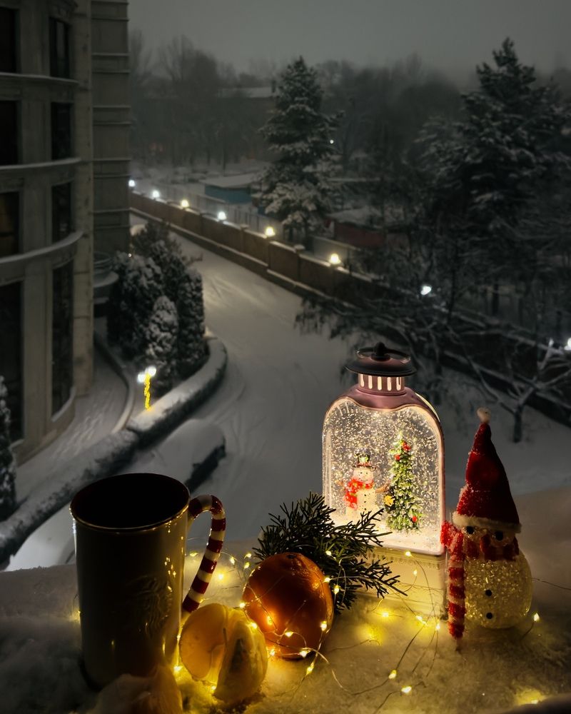 Зимний натюрморт на подоконике