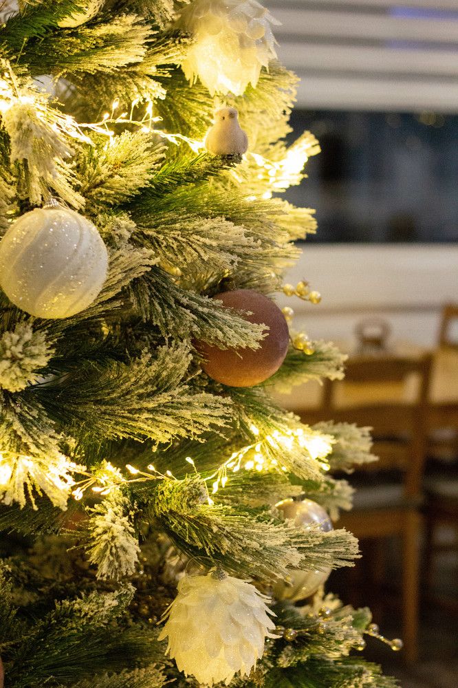 Photograph by Алина Едрянкина