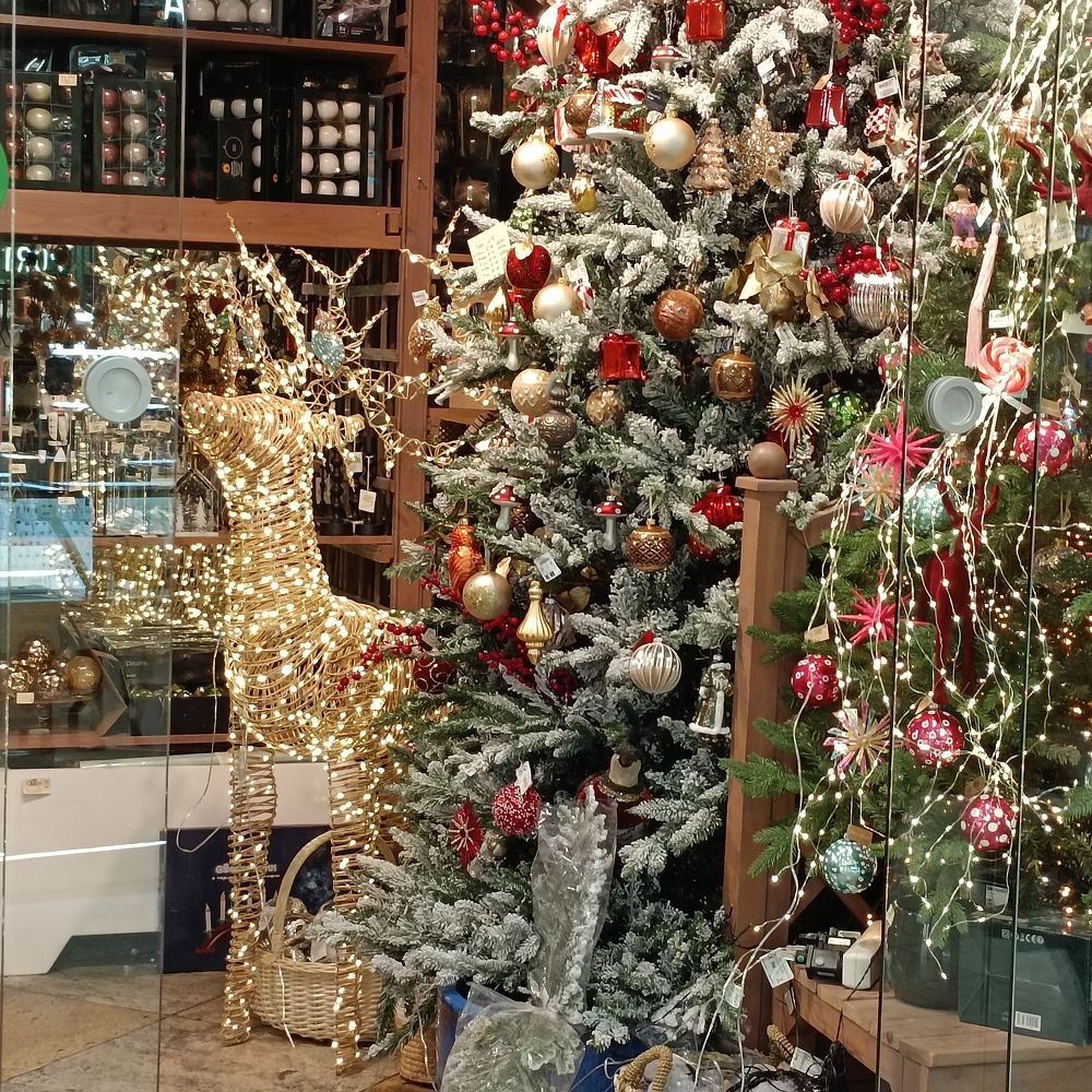 Photograph by Ирина Шведчикова