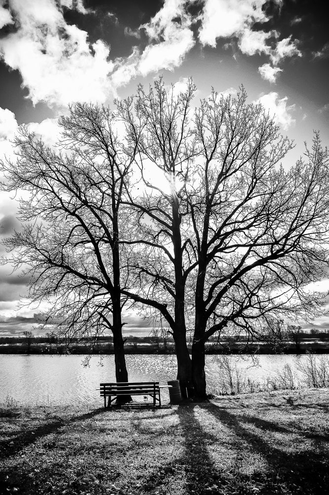 Photograph by Марина Бикеева-Сулейманова