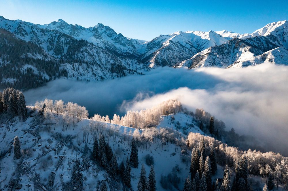 Фотография автора Andrey Shishkalov