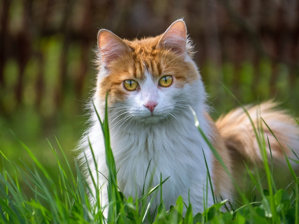 Photograph by Хабаров Сергей