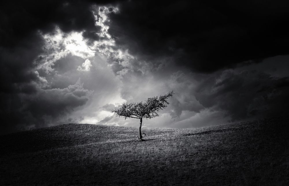 Photograph by Татьяна Бирюкова