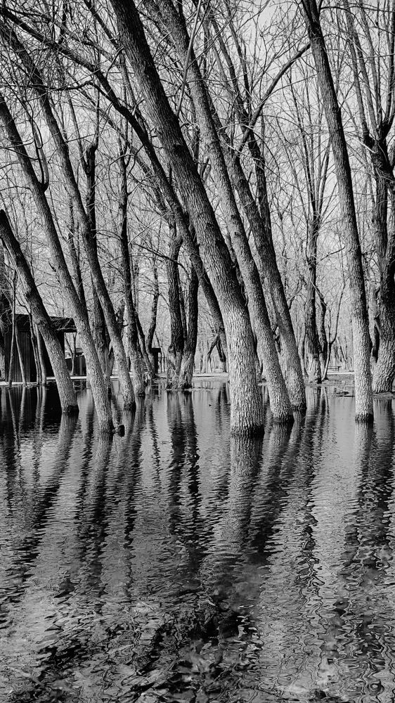 \"Отражения\"