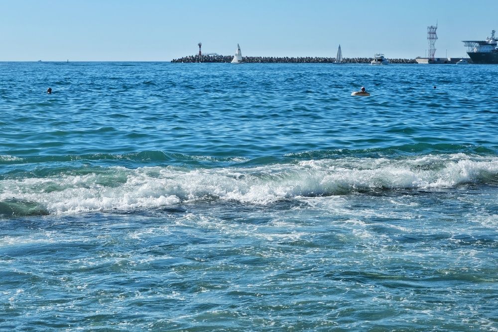 Фотография автора Юлия Фёдорова