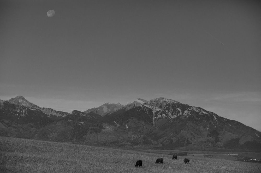 Photograph by Strisovsky Stanislav