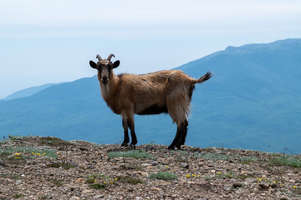 Photograph by Екатерина Крючкова