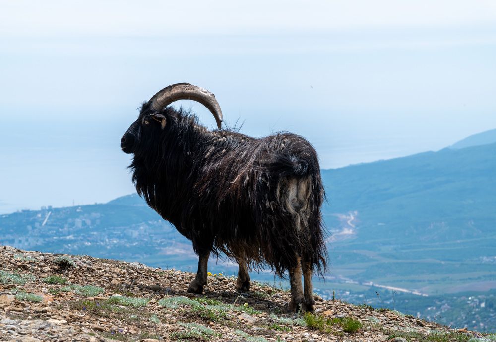 Photograph by Екатерина Крючкова