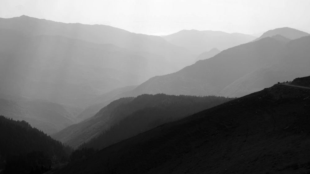 Photograph by Ольга Стоун