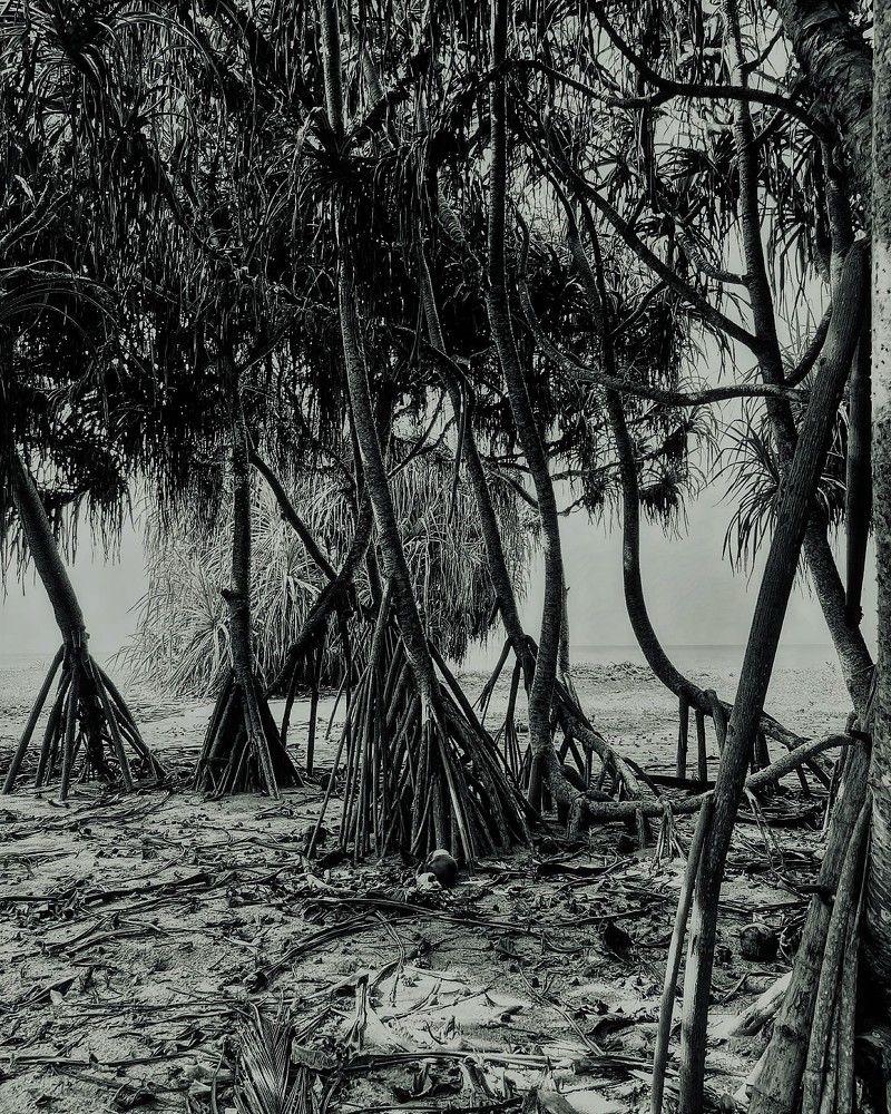 Photograph by Iuliia Akhulkova