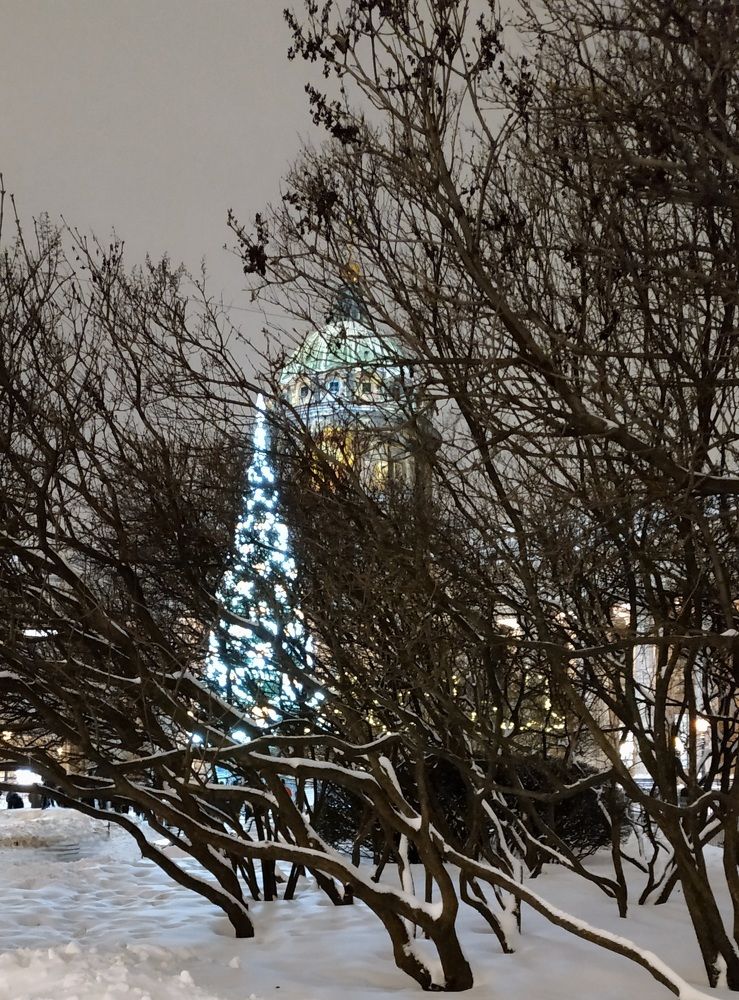 Photograph by Ольга