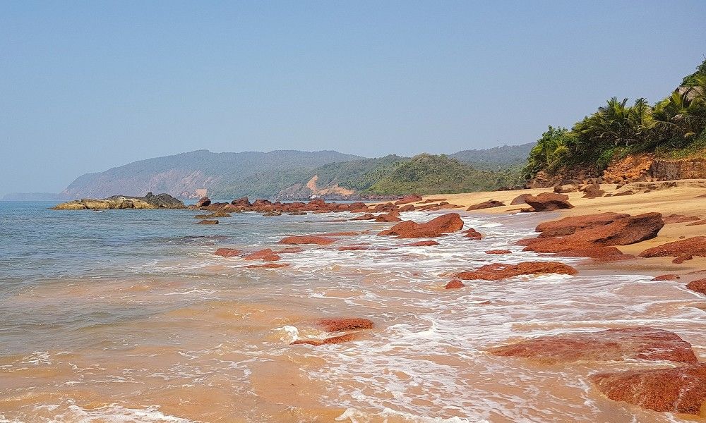 Фотография автора Максим Грибанов