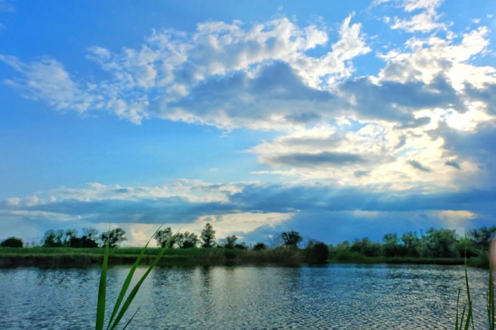 Фотография автора Юлия Фёдорова