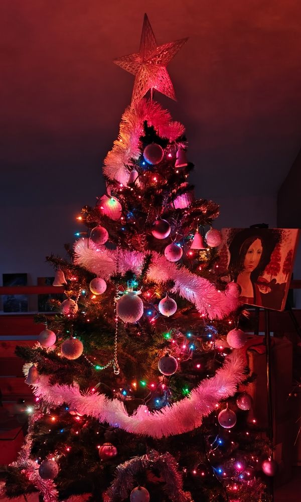 Photograph by Grădinaru Catalin