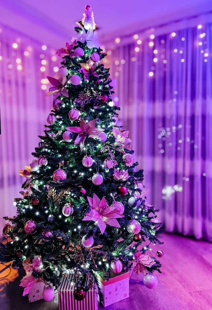 Photograph by Grădinaru Catalin