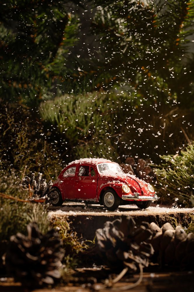 Photograph by Дарья Гомза