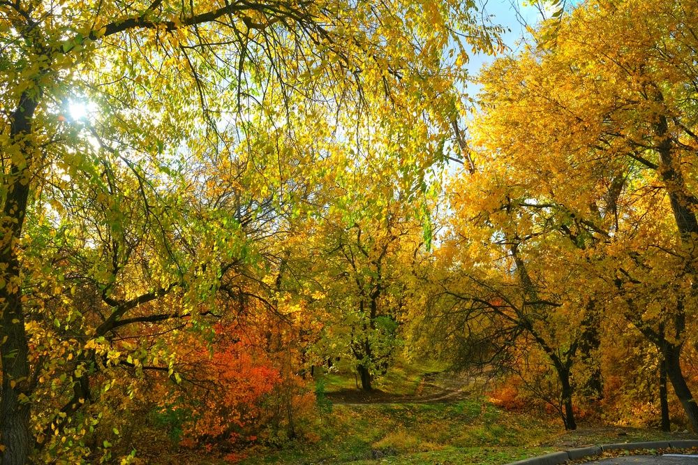 Фотография автора Юлия Фёдорова