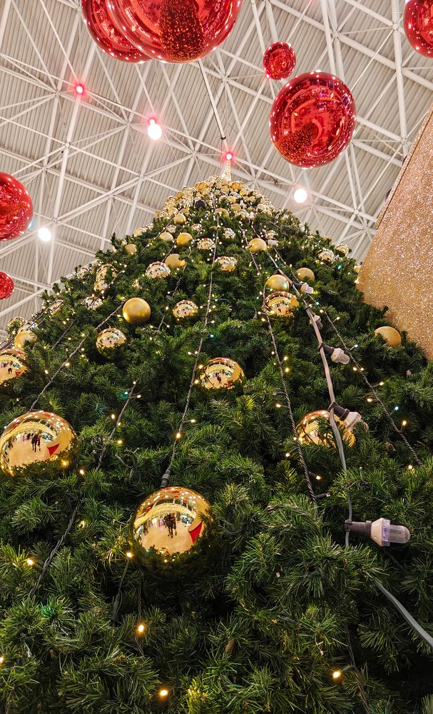 Photograph by Grădinaru Catalin