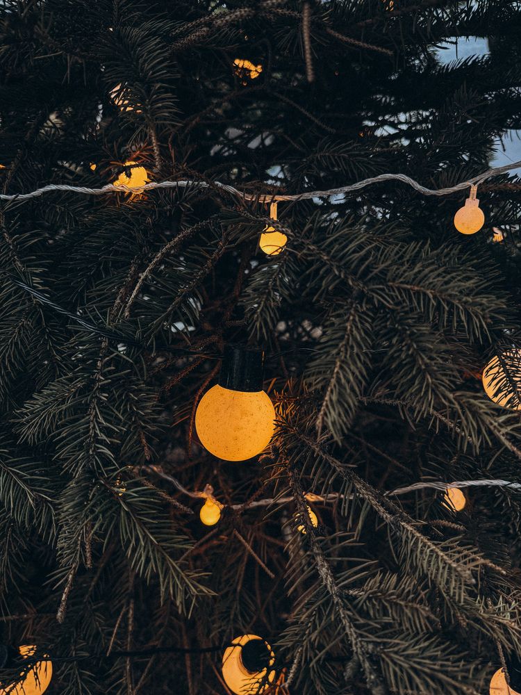 Photograph by Александра Кишикова