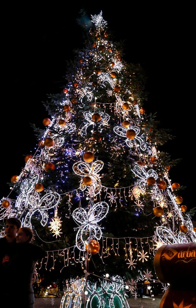 Photograph by Grădinaru Catalin