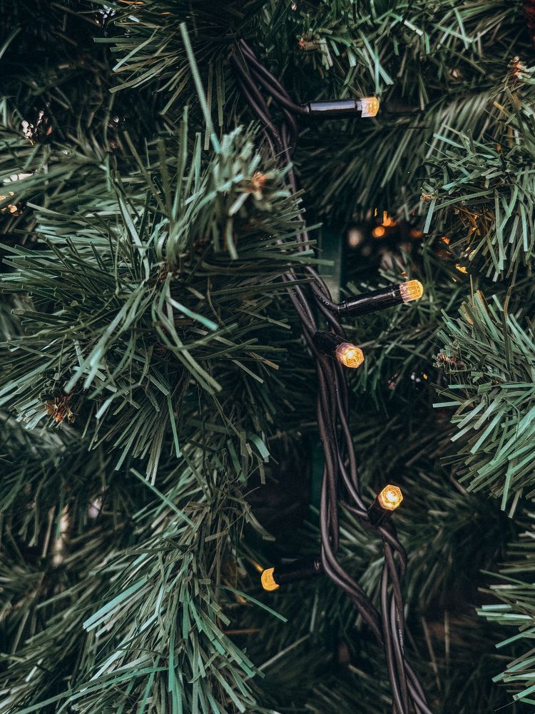 Photograph by Александра Кишикова